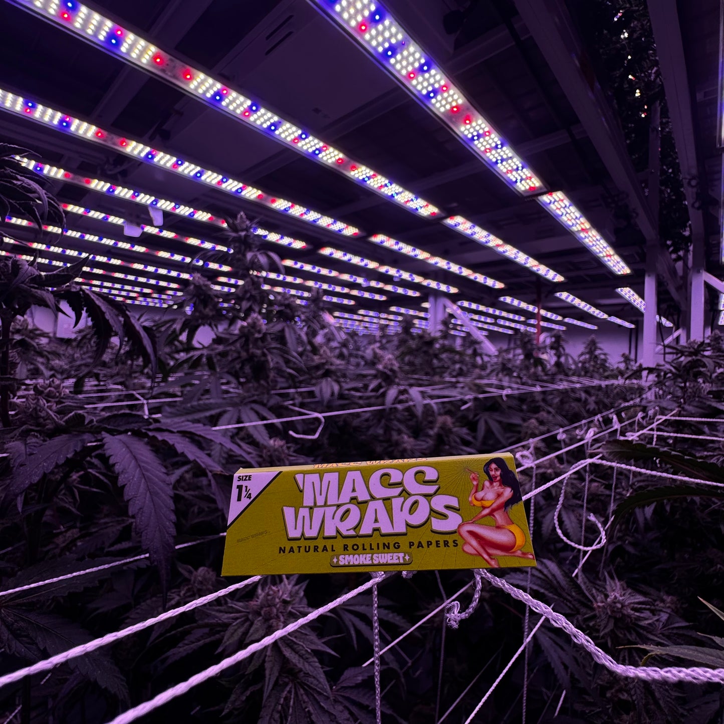 MaccWraps